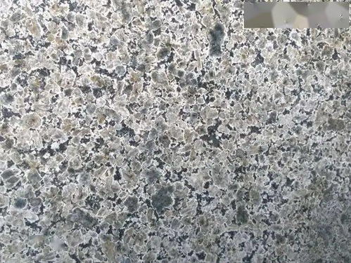 承德优质石材 蓝豹、承德绿、皇室啡、黄金钻的全面解析